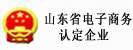 山东省电子商务认定企业